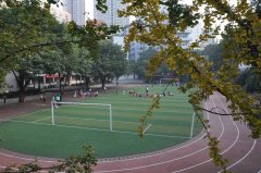 沙坪坝区文化地标托起沉庆“科教文卫核心”永